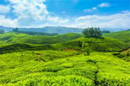 munnar